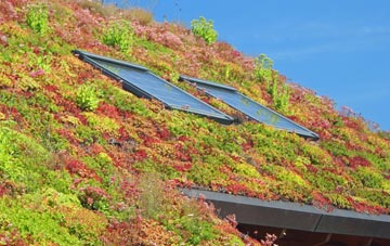 Boughton Street living roof systems